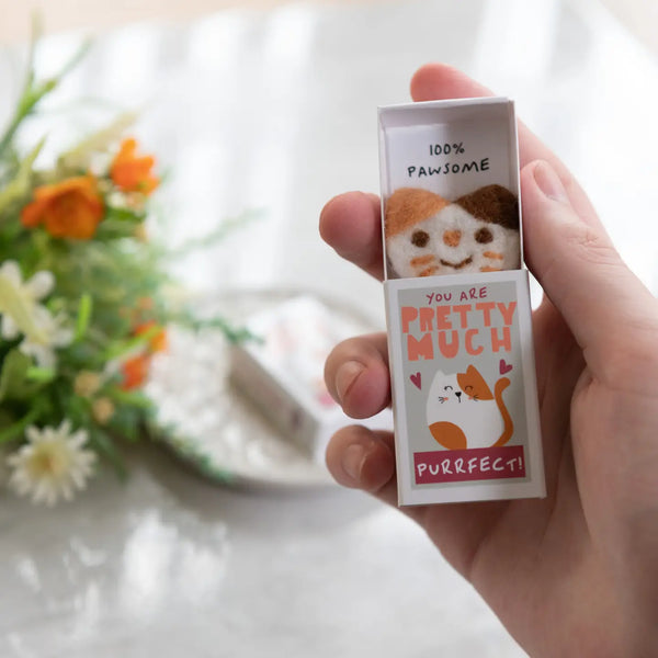 You're Purrfect Wool Felt Cat in A Matchbox - Linzis