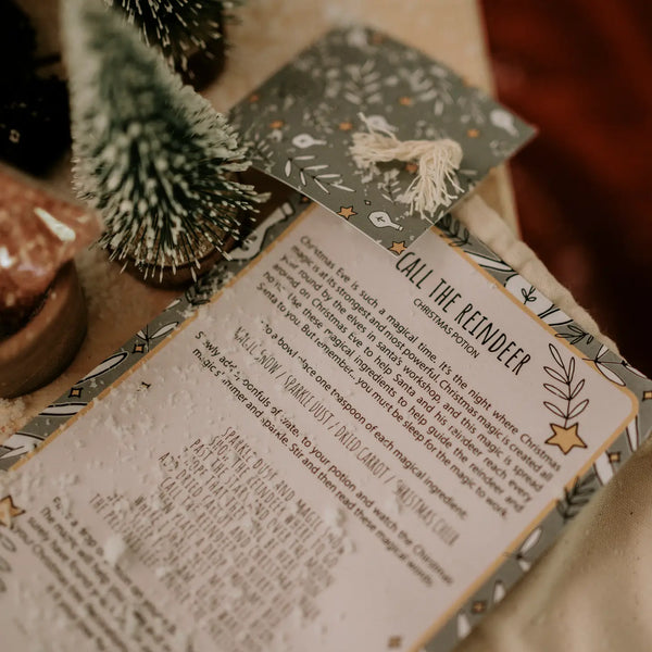 Xmas Eve Potion Pouch - Call the Reindeer This Christmas - Linzis