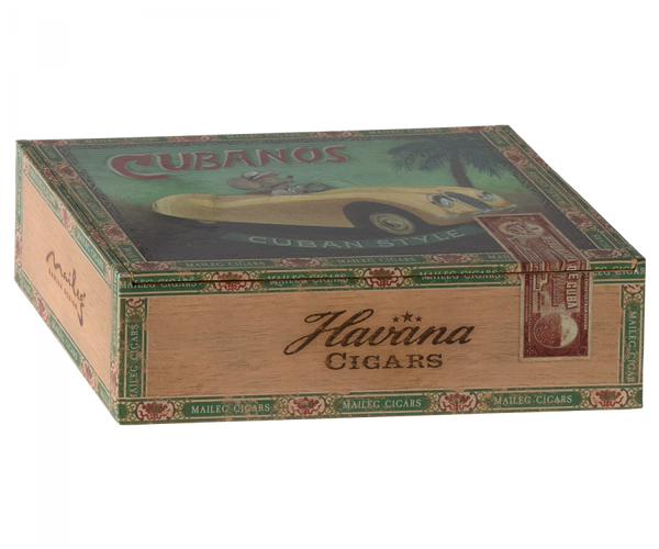 Grandma and Grandpa Mice In Cigarbox - Linzis