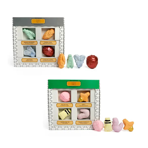 Assorted Insectariums Handmade Sidewalk Chalk - Linzis