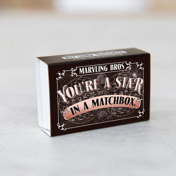 You're A Star Meteorite in A Matchbox - Linzis