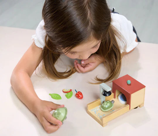 Tortoise Pet Set - Linzis