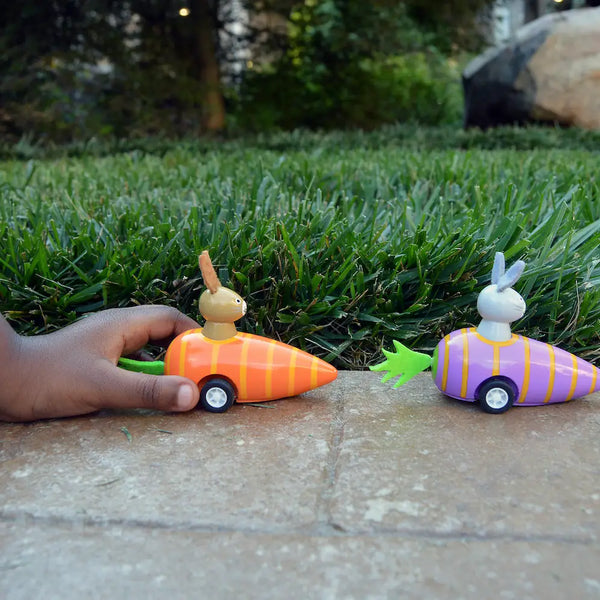 Pull Back Bunny in Carrot - Linzis