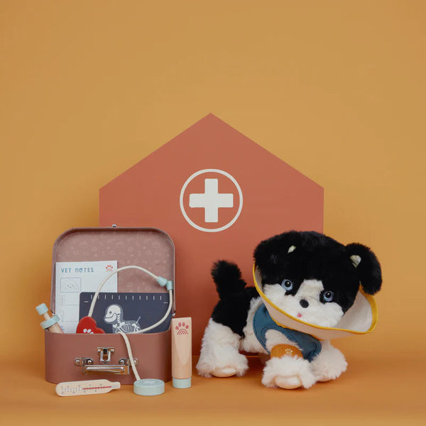 Dinkum Dogs Vet Set - Linzis