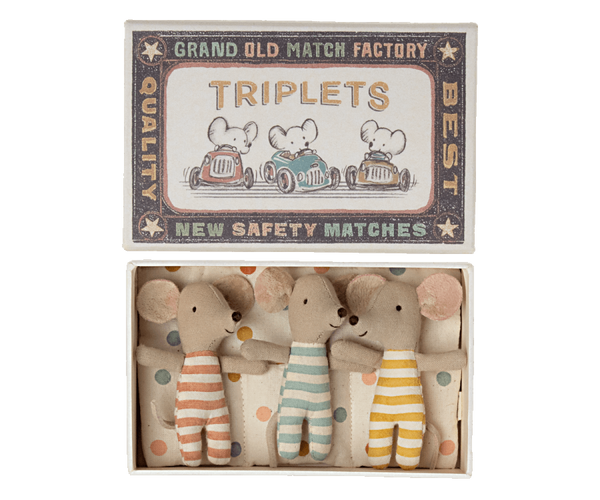 Triplets, Baby mice in matchbox - Linzis