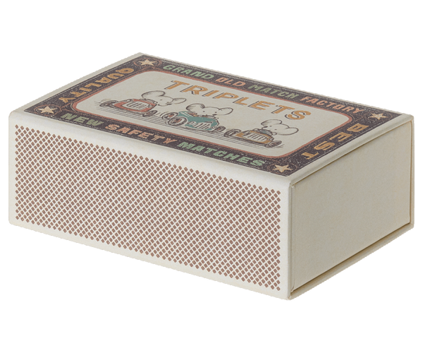 Triplets, Baby mice in matchbox - Linzis