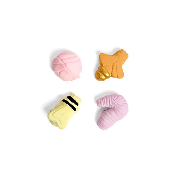 Assorted Insectariums Handmade Sidewalk Chalk - Linzis