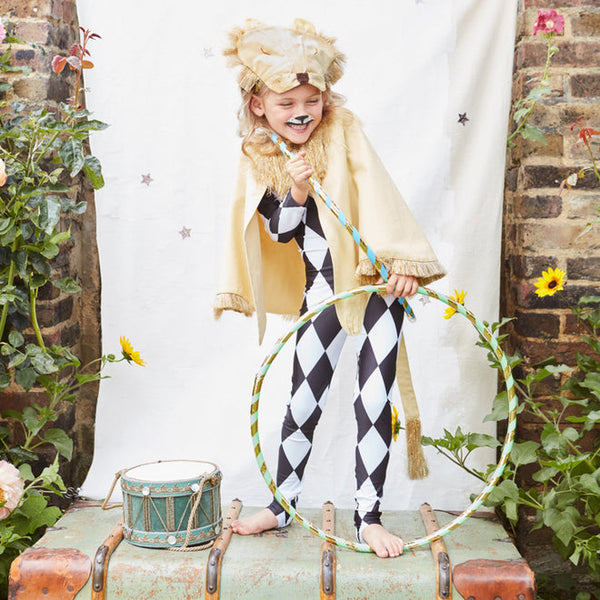 Lion Costume - Linzis